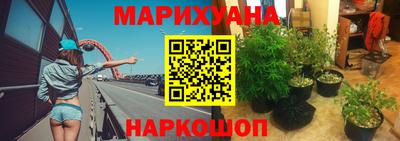 сатива Балашиха