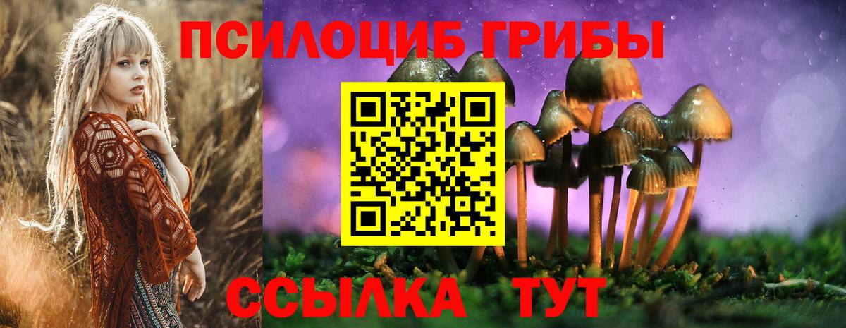 купить наркоту  Вход с VPN  Псилоцибиновые грибы Psilocybine cubensis  Джанкой  Псилоцибиновые грибы мухоморы 
